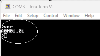 Teraterm USB MOSFET Version Command